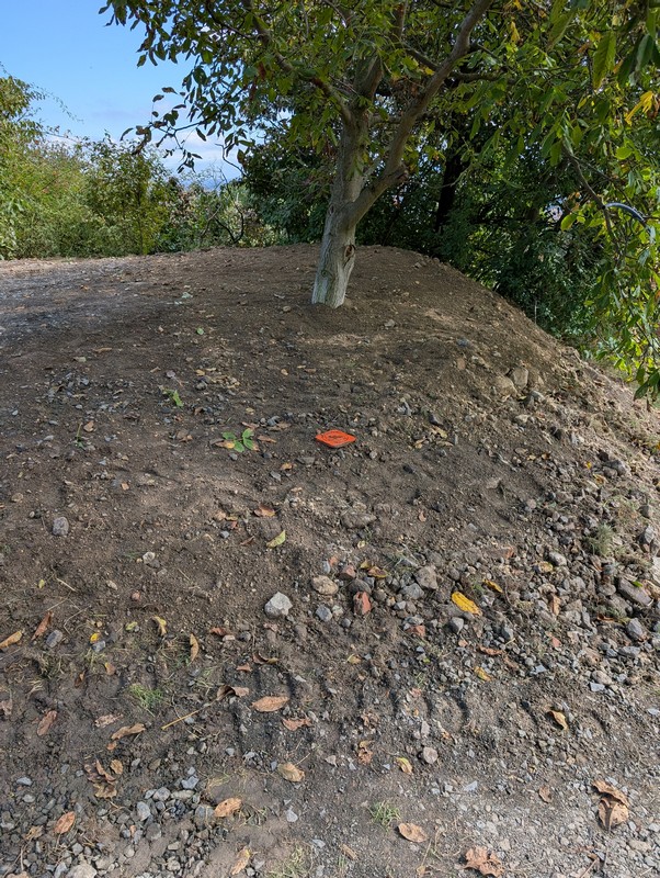 PXL_20250915_112556098